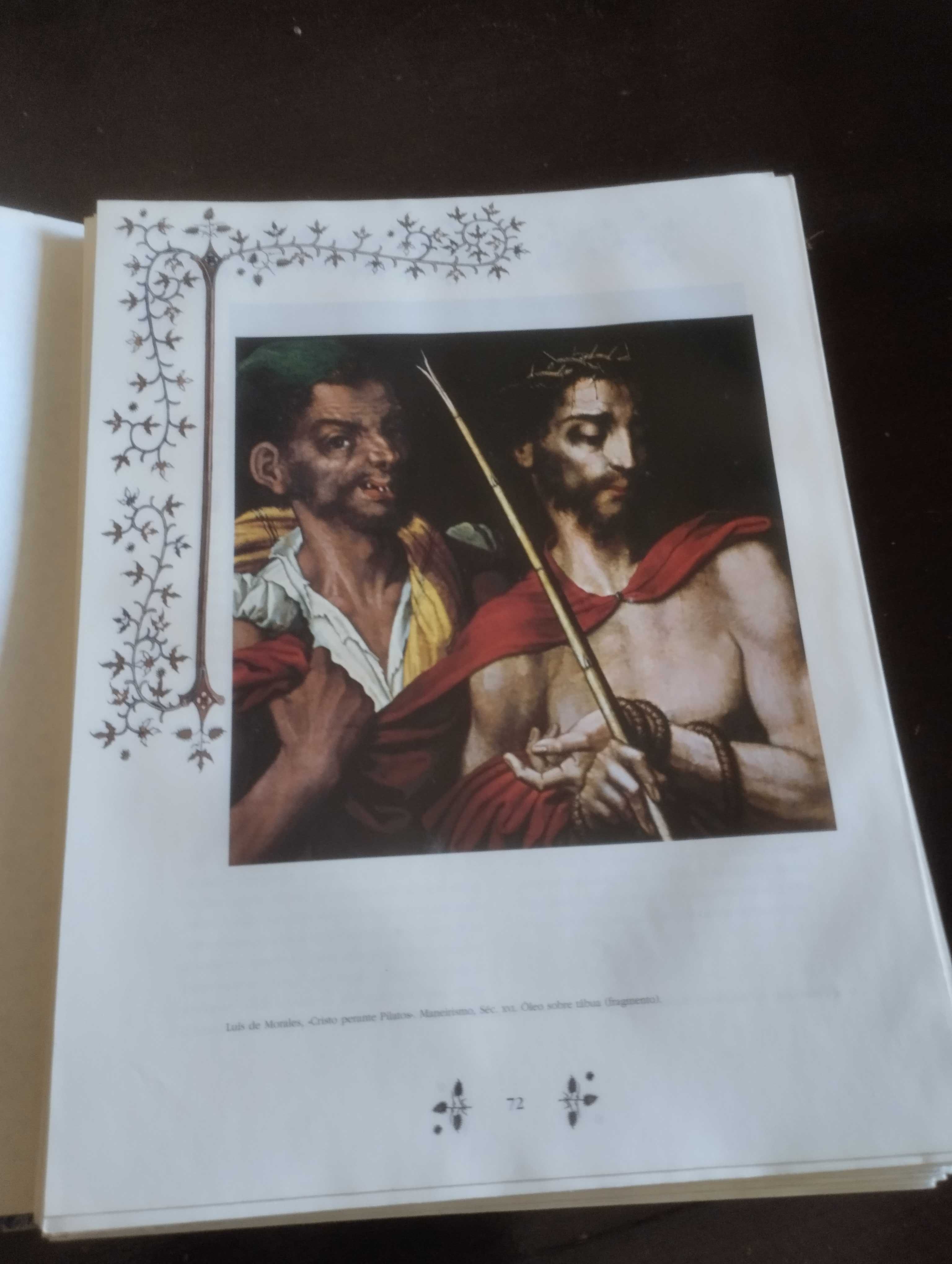 Bíblia Sagrada Novo Testamento ilustrado