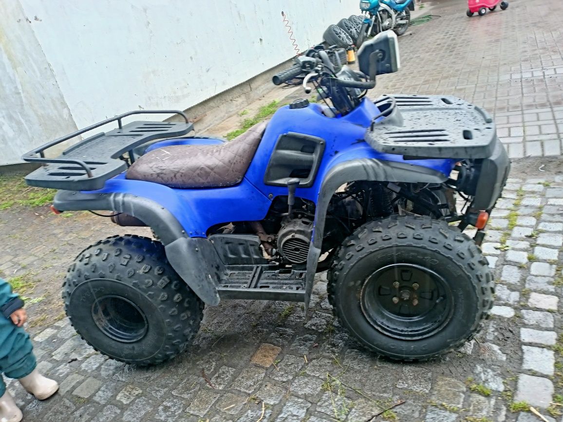 Aeon cobra 180 homologacja Access lucky transport cała pl polaris