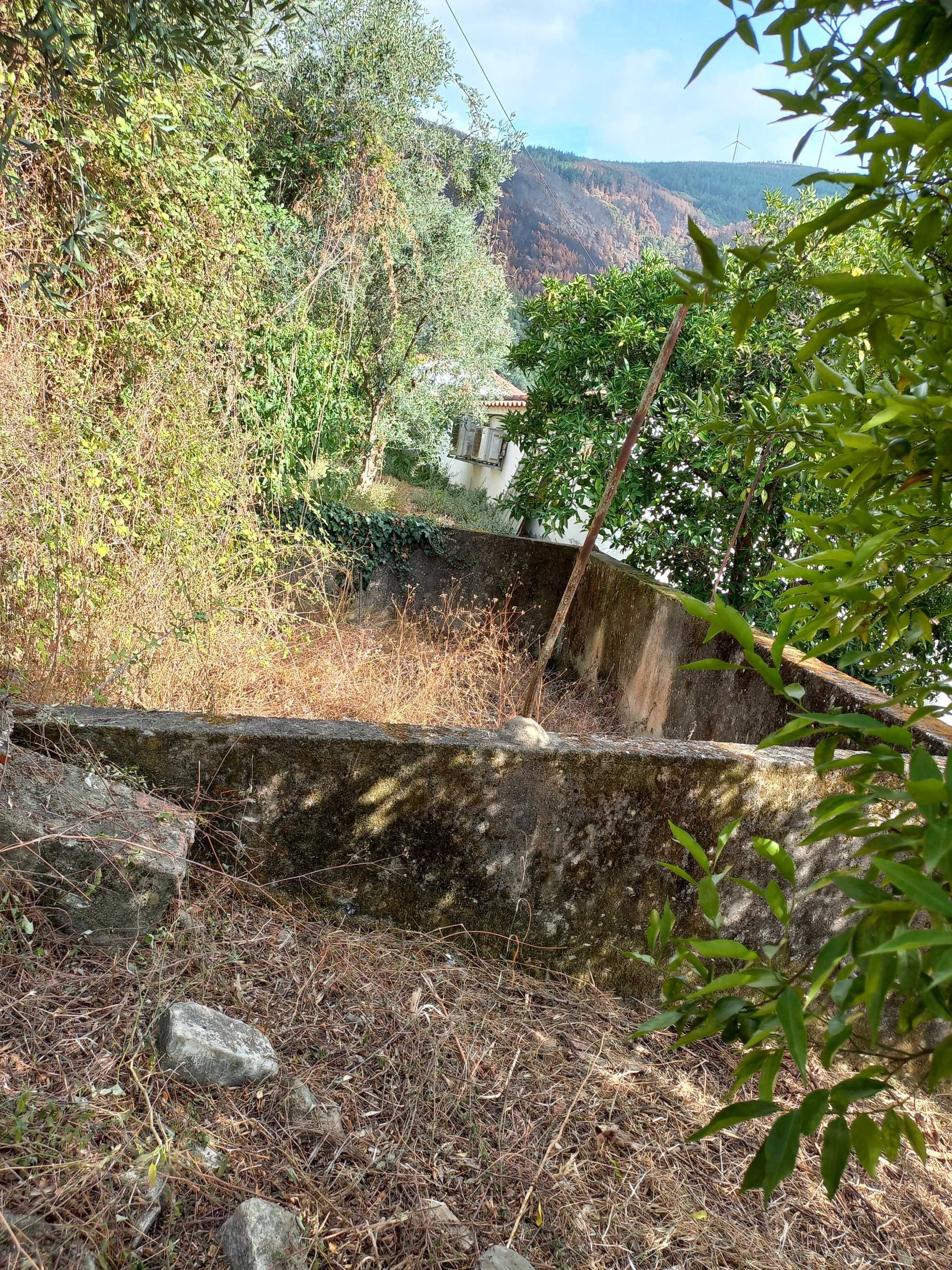 TERRENO Urbano com viabilidade para construção
