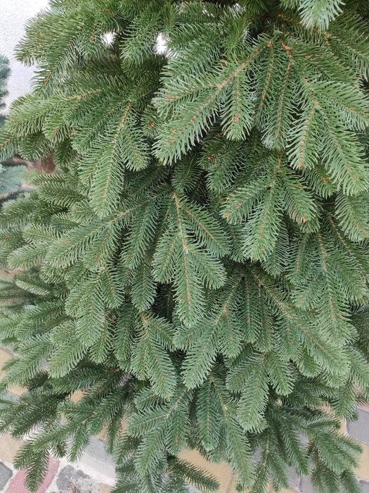 Мегапухнаста штучна ялинка, Ялинка штучна, Новорічна ялинка, Сосна