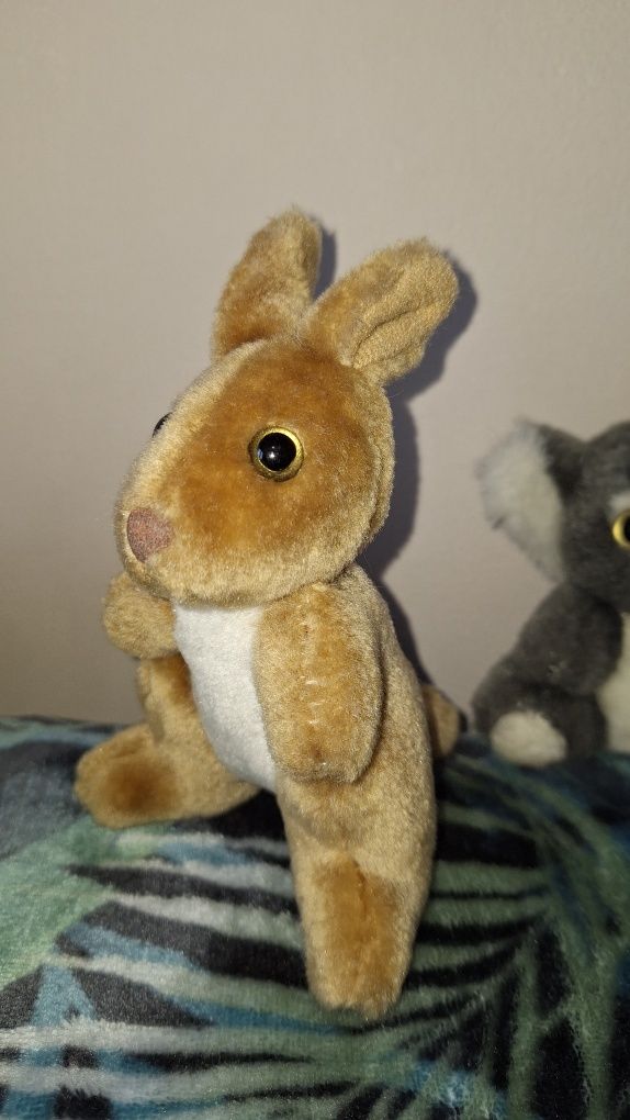Kangur Koala - maskotki z Australii