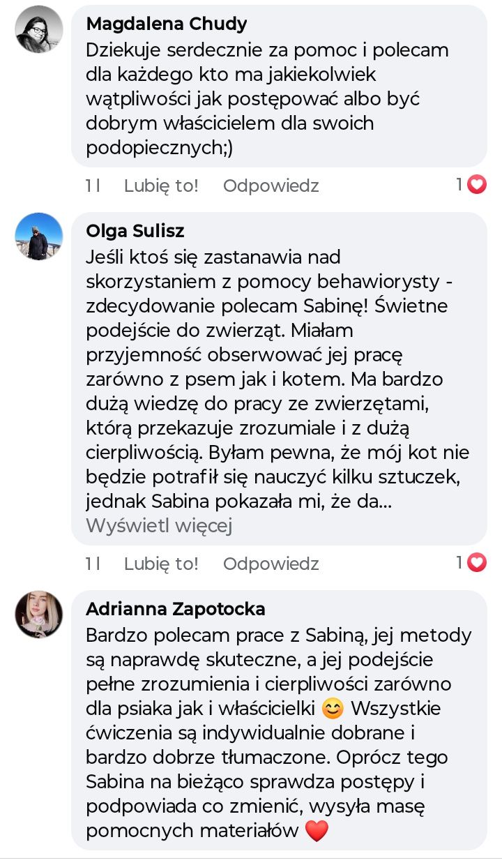Zwierzak marzeń Behawiorysta psów i kotów