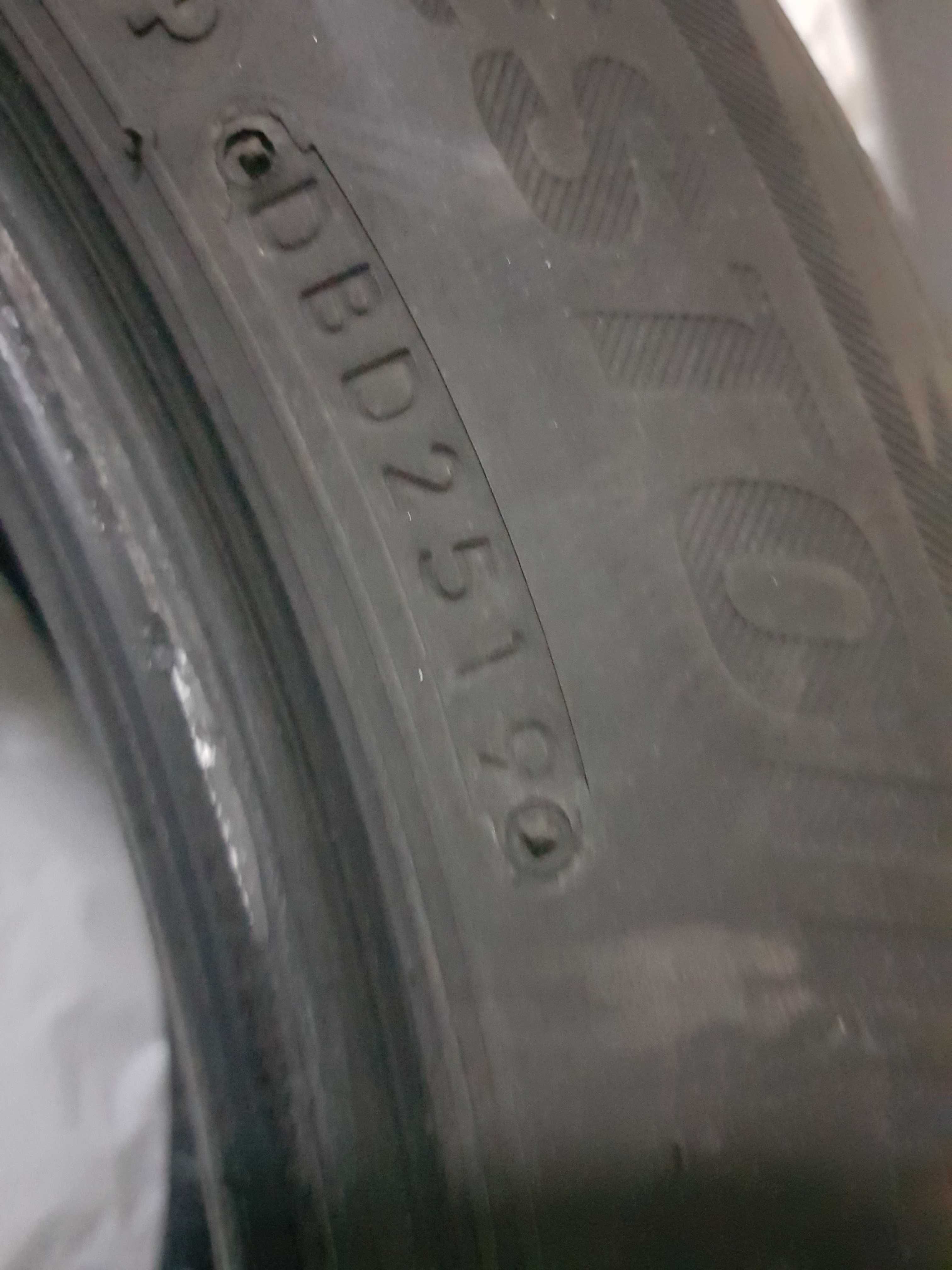 Резина зимняя Bridgestone Blizzak DM-V2 225/55 R17 97T