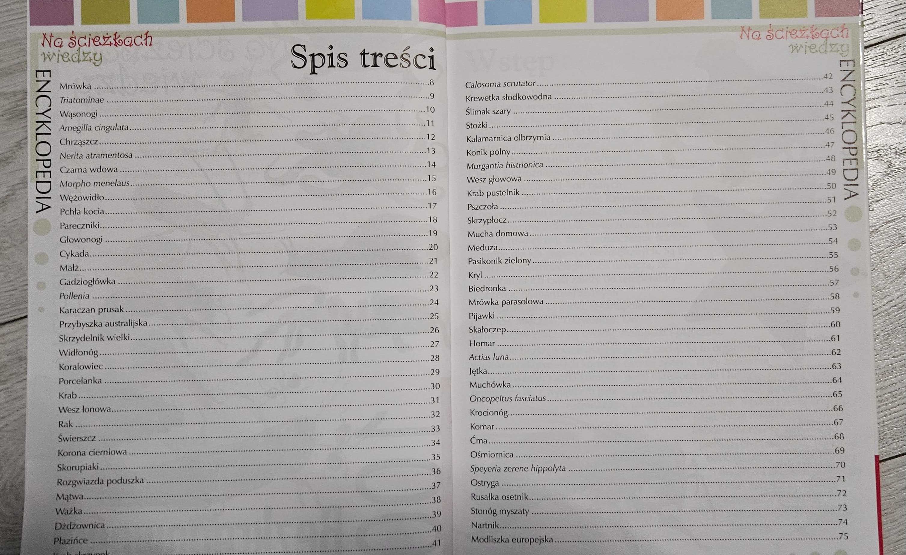 Książki " 101 ciekawostek; ludzkie ciało" i "100 bezkręgowców"