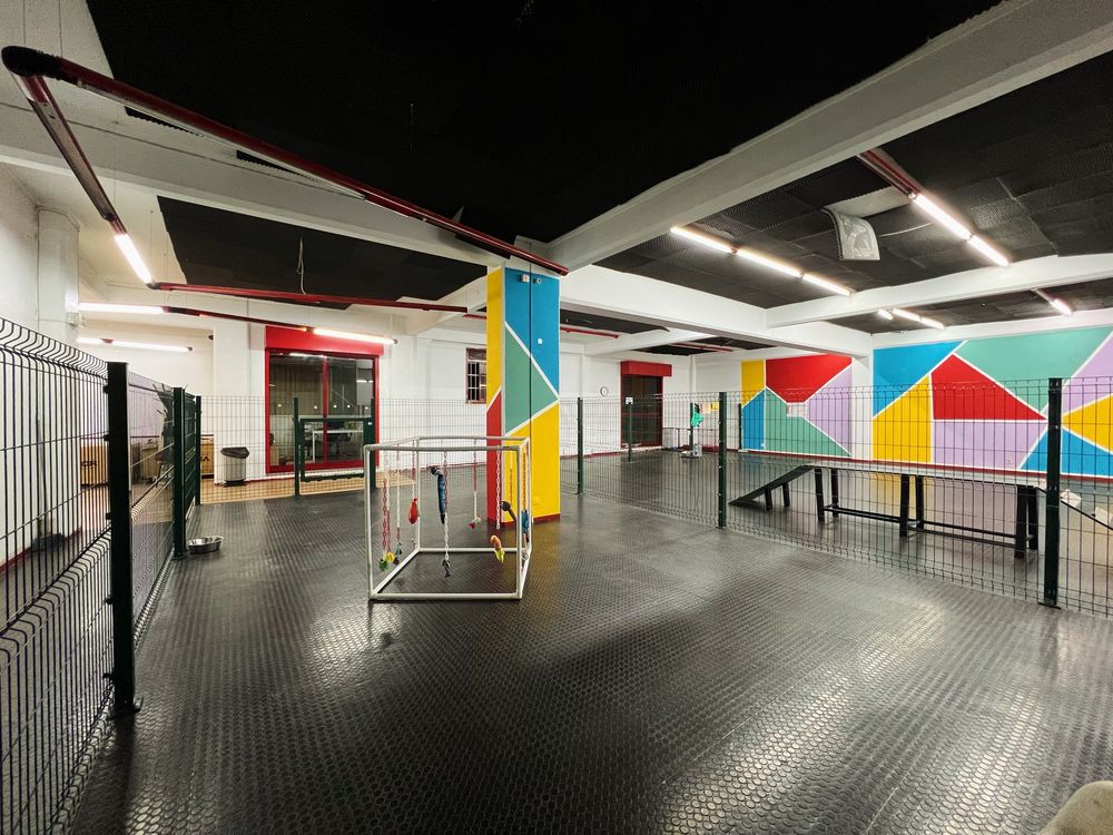 Vende-se Creche Canina em pelo crescimento | Lisboa Central