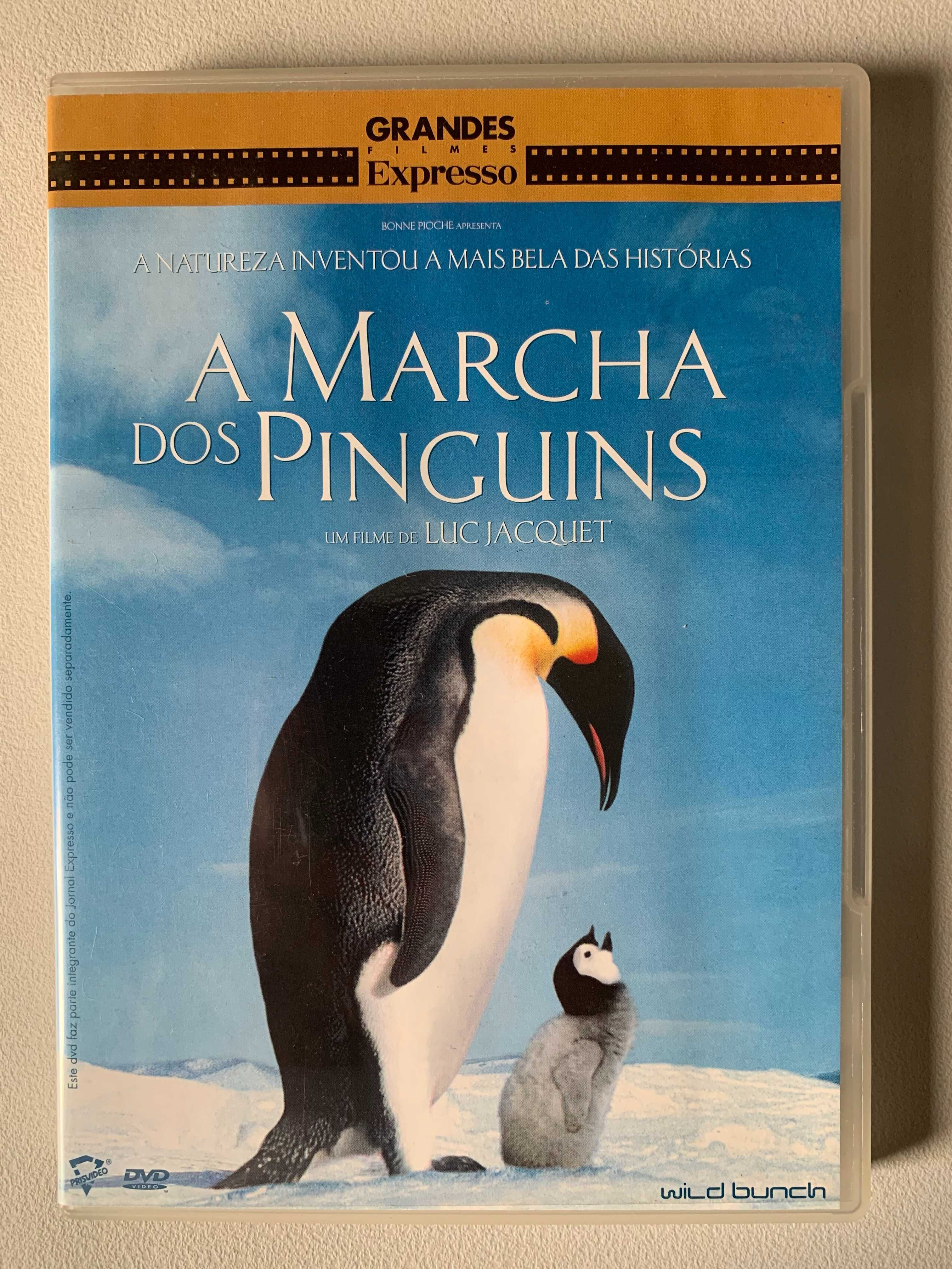 [DVD] A Marcha dos Pinguins