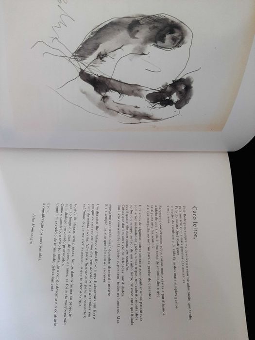 José Rodrigues, Júlio Montenegro – Exercícios de Delicada Intimidade