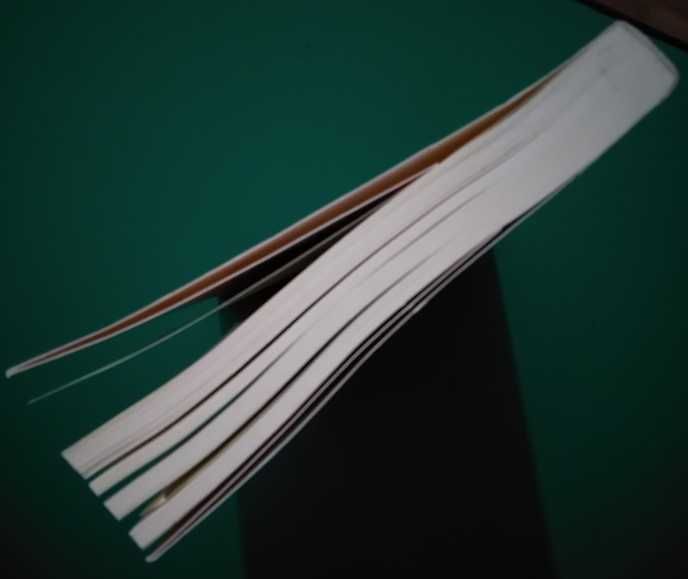 Pessoas Normais - Sally Rooney