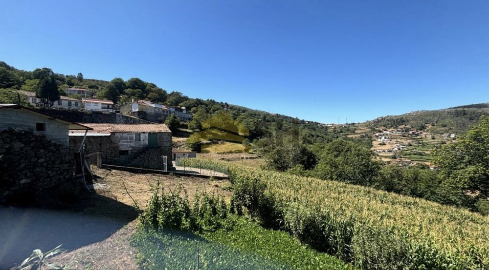 Moradia T3 p/recuperar | Gestaçô, Baião