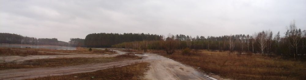 Земельный участок для строительства дома в с. Новое Залесье