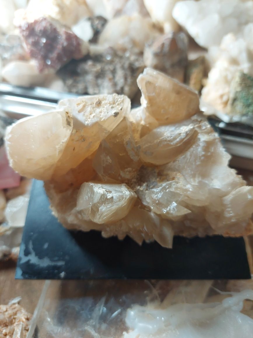 Calcite dente cao