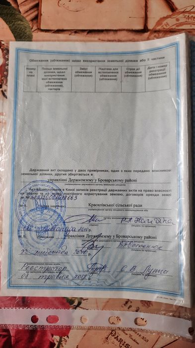 Земельна ділянка площею 10 соток