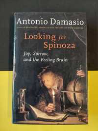 Antonio Damasio - Looking for Spinoza