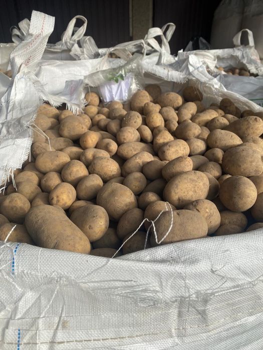 Ziemniaki corina i vege