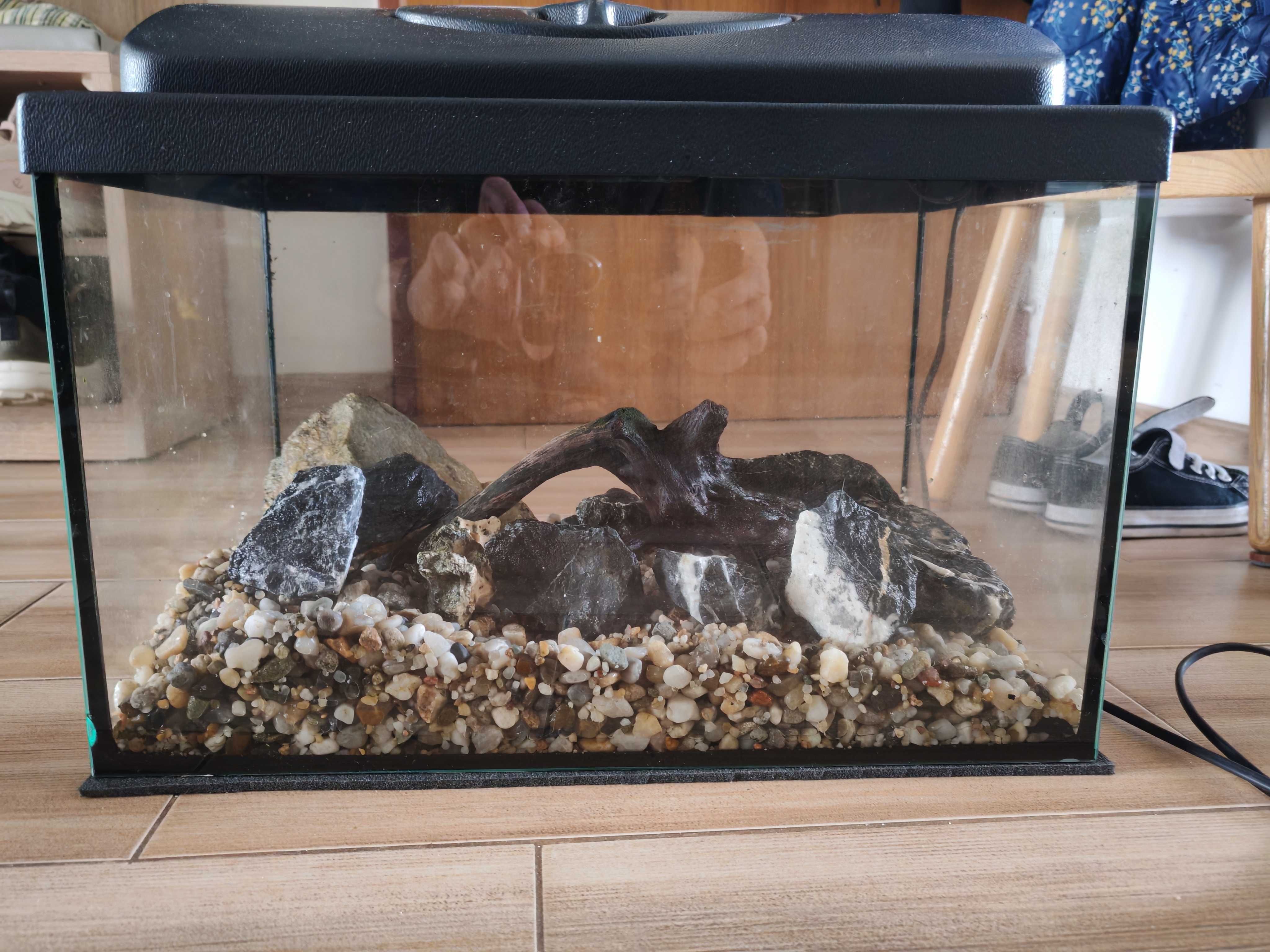 Akwarium 25l  oświetlenie filtr kamienie