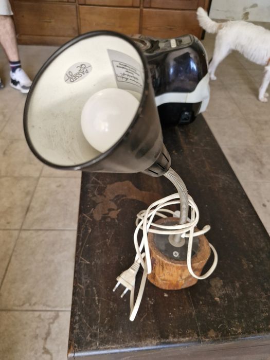 Candeeiro com Lâmpada Estilo Naturalista