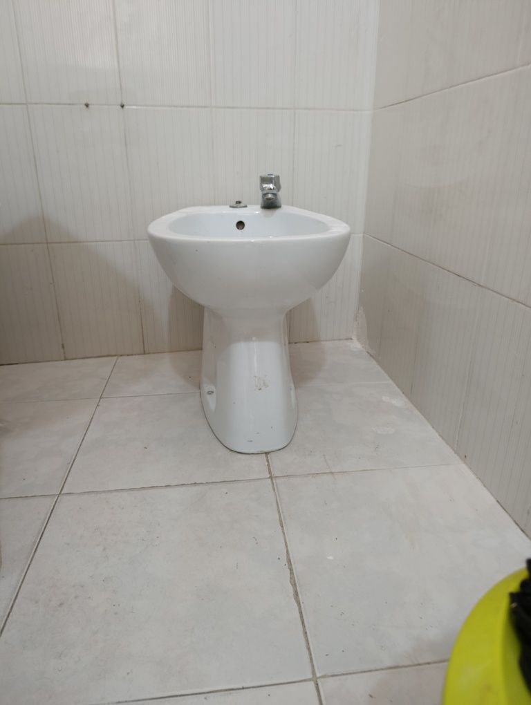 Loucas de casa banho