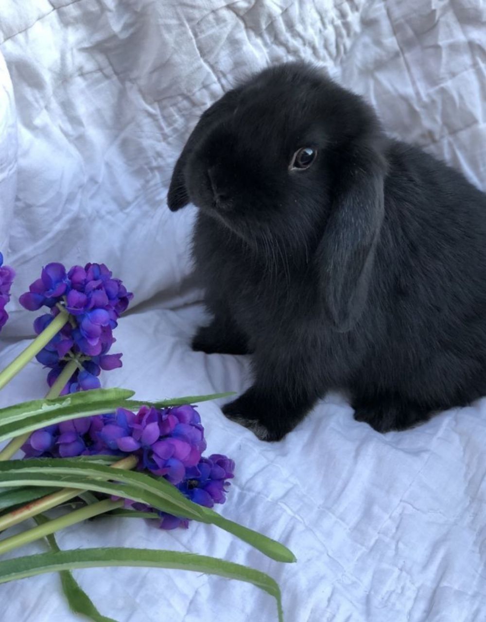 Повний набір для щастя !