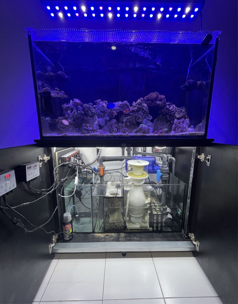 Aquario agua salgada + sump + tubagens + mó