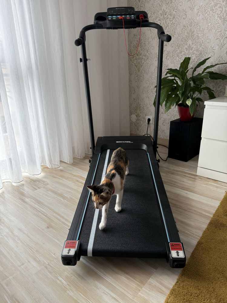 Passadeira usada no máximo, 5 vezes - sem gato incluído :)