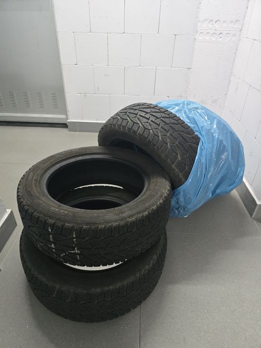 Opony kormoran zimowe 195/55 R15