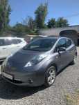 Nissan Leaf 2013