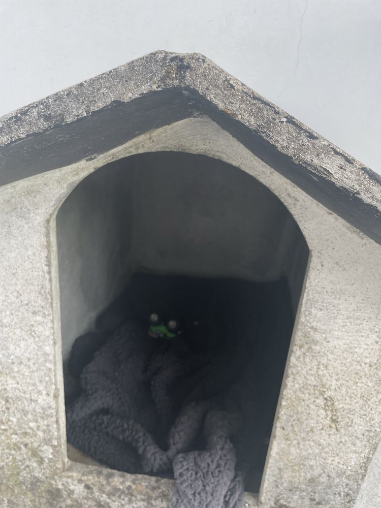Casota para animais em pedra
