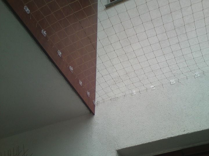 Zestaw Siatka Na Balkon Dla Kota Gołębie 4x2m, Oczko 50mm Bez Wierceni