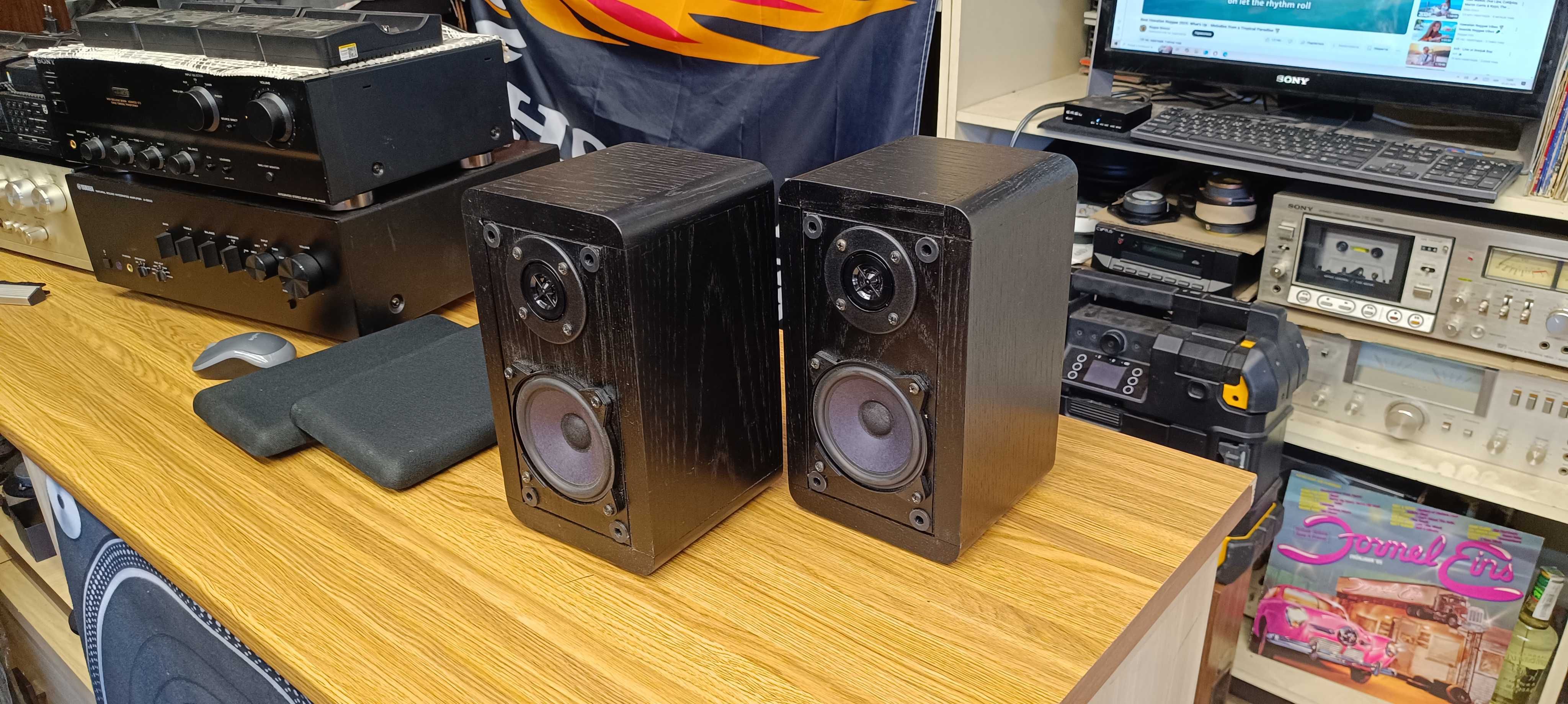 Акустика PA-100 (8-ом-100w)