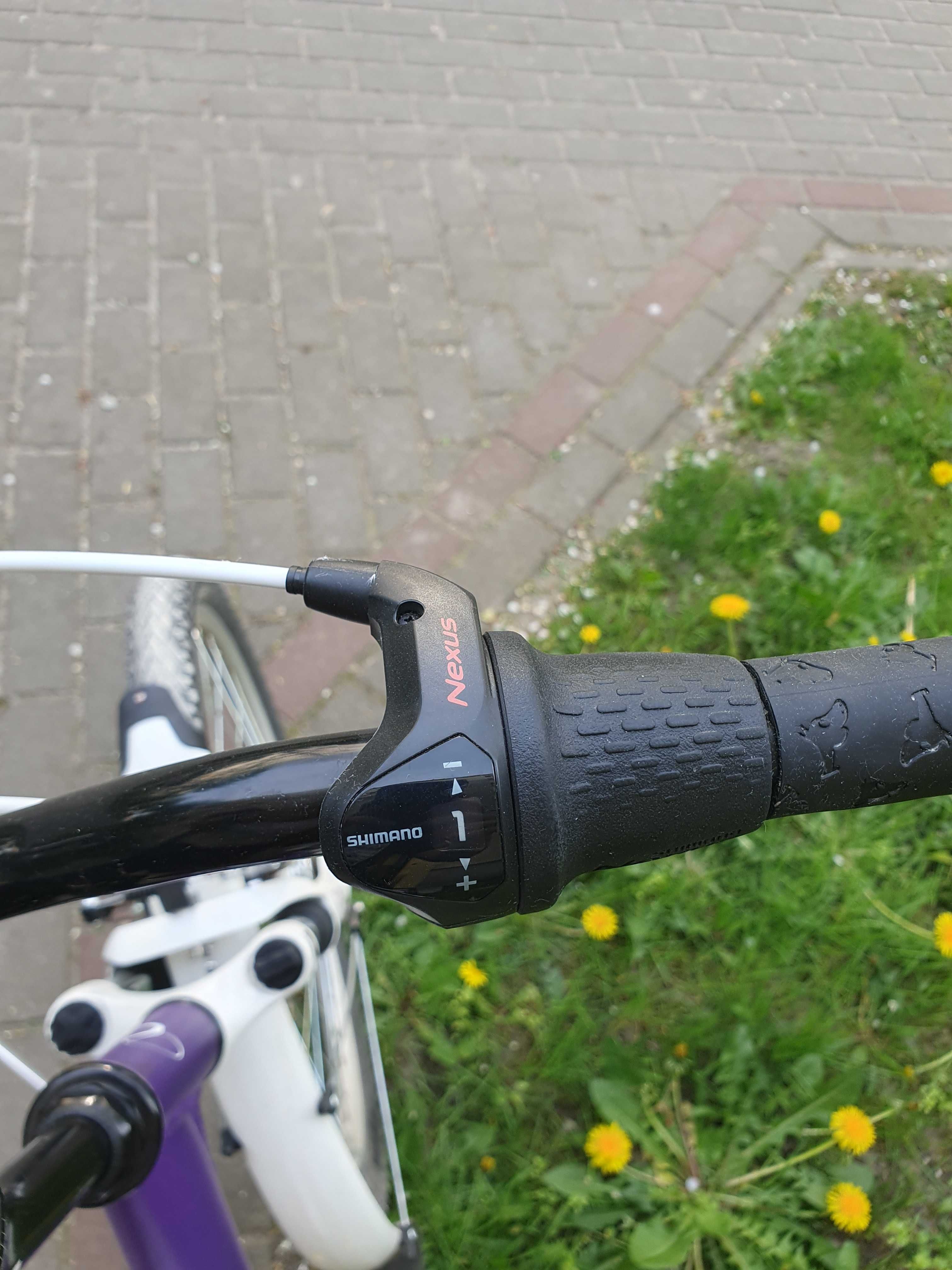 Rower Unibike Princess