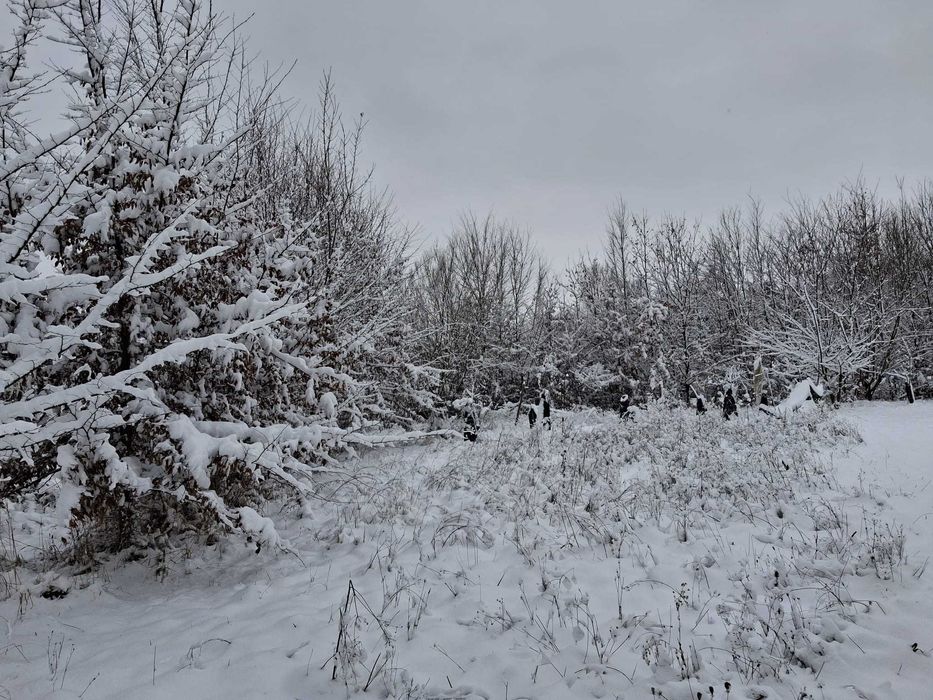 Wyjątkowa działka pod Krakowem - Poskwitów Stary
