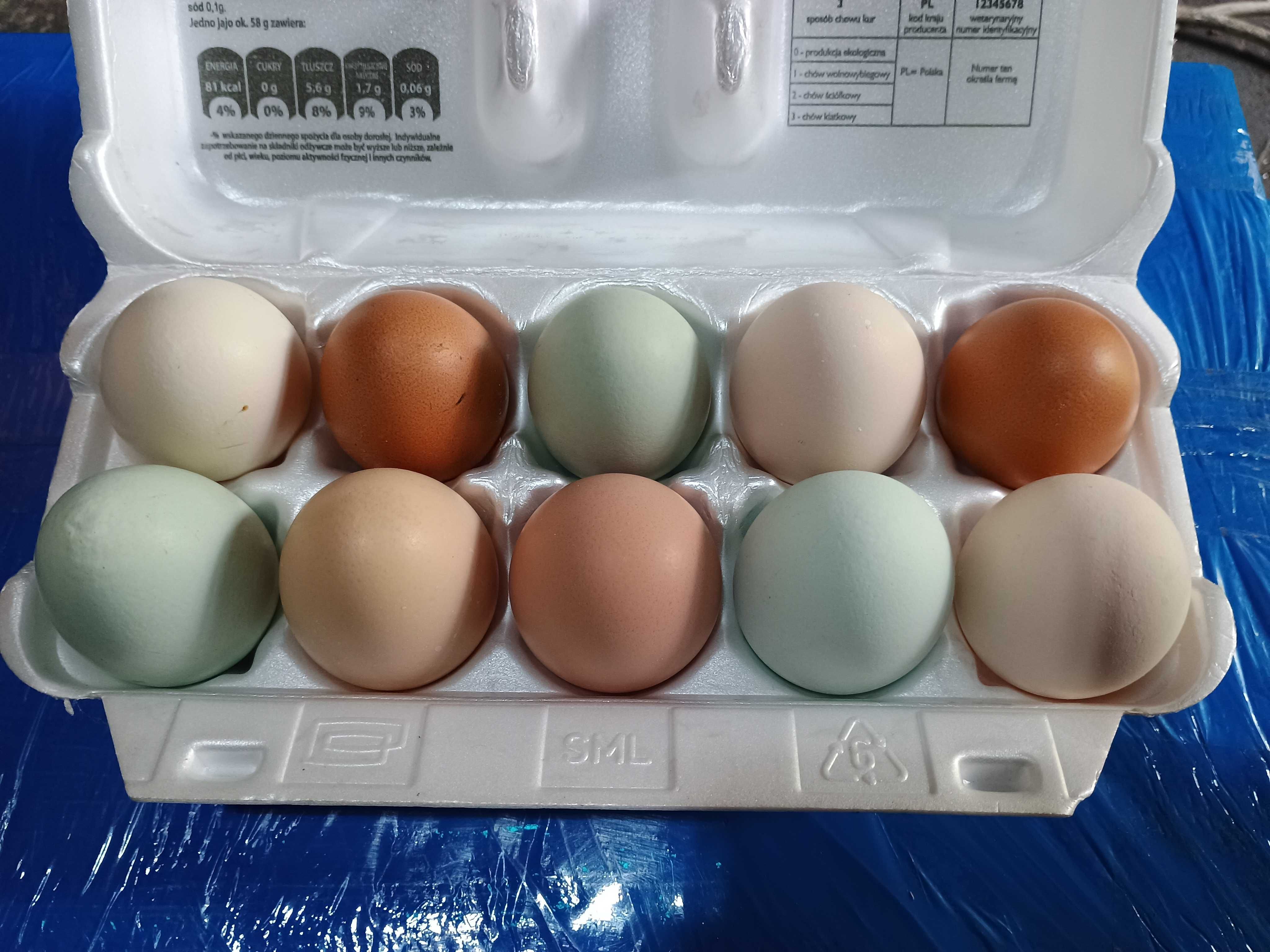 Jaja jajka lęgowe Mix