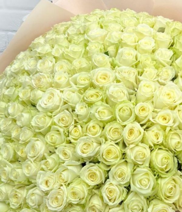 Роза,букеты 51,101,201,501