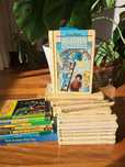 Livros de Mistério e Aventura juvenis