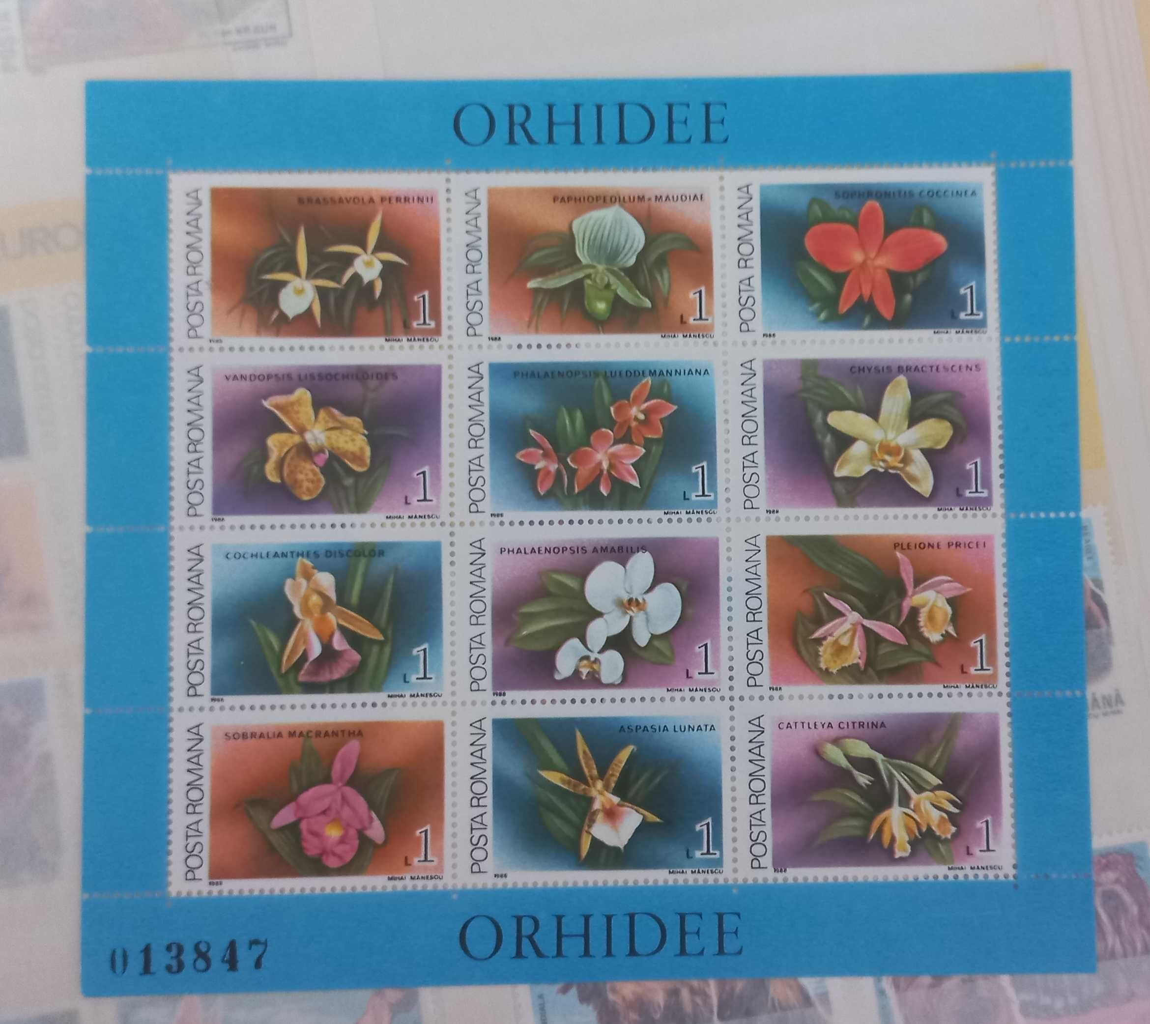 Znaczek pocztowy - Arkusik - orchidea - Rumunia czyste