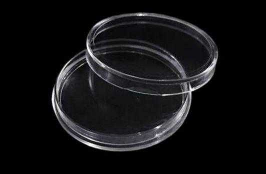 Капсули 24 мм для монет ЗСУ 10 грн