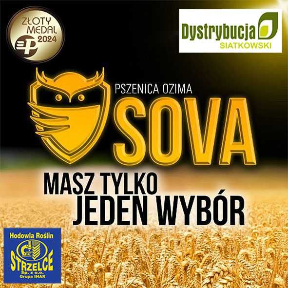 Kwalifikowane nasiona siewne pszenica ozima SOVA C/1`