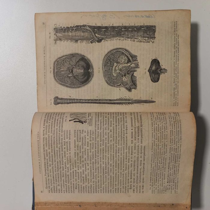 1881 р. Лечебник + рецепти лікарств