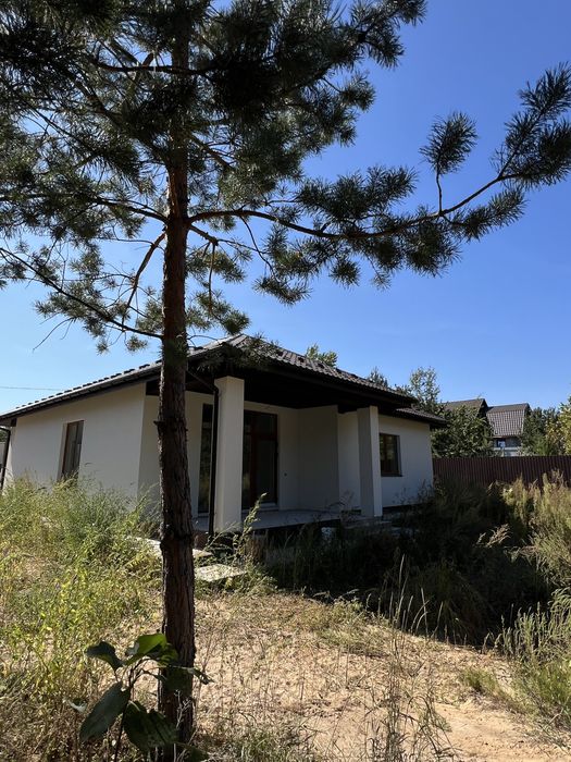 Купуй будинок біля лісу і отримай генератор в подарунок