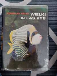 Książka wielki atlas ryb