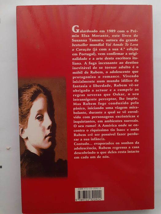 Com a Cabeça nas Nuvens (Susanna Tamaro)