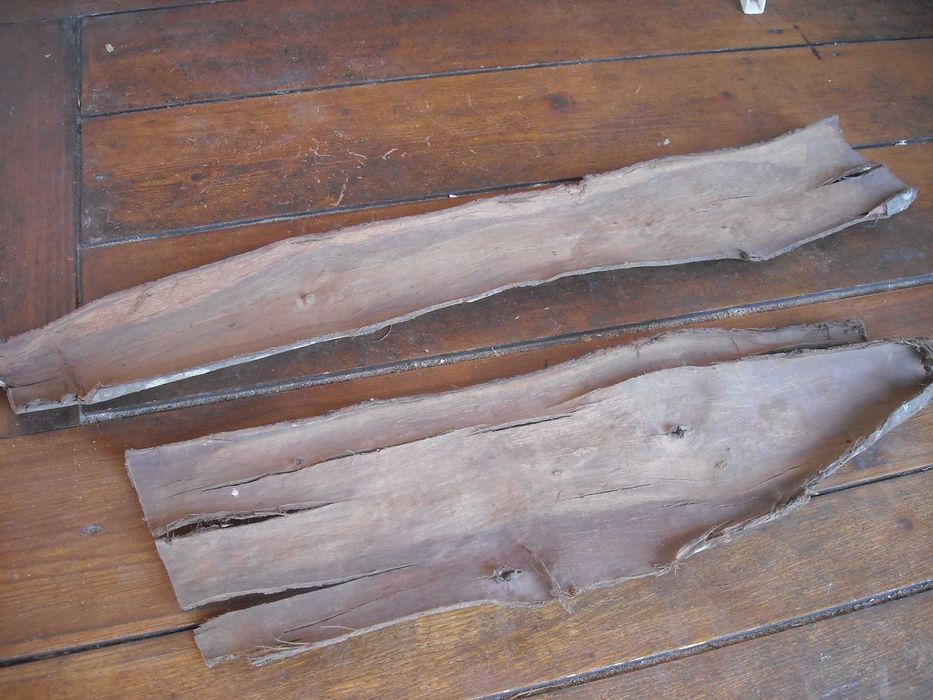 Casca de arvore natural para decoracao terrario ou outros