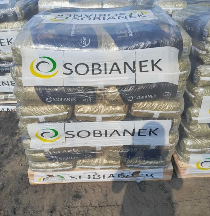 Ekogroszek Sobianek Lew 27-29MJ Promocja