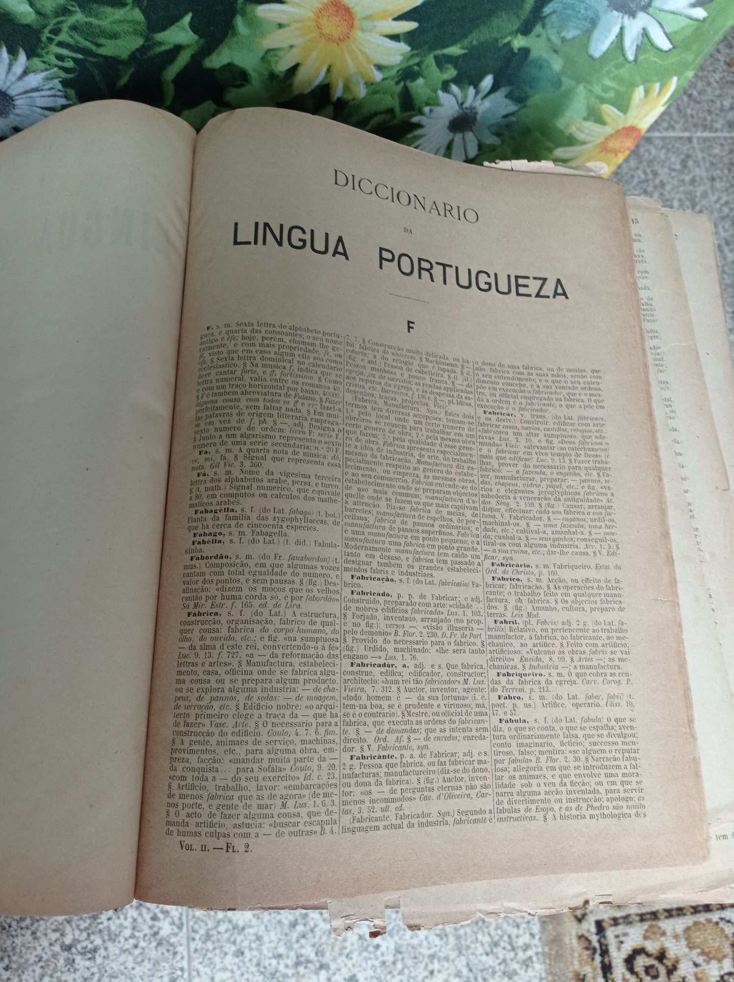 Dicionário da língua portuguesa