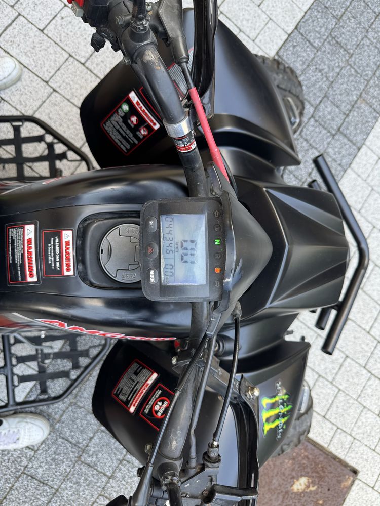 Quad bashan 250
