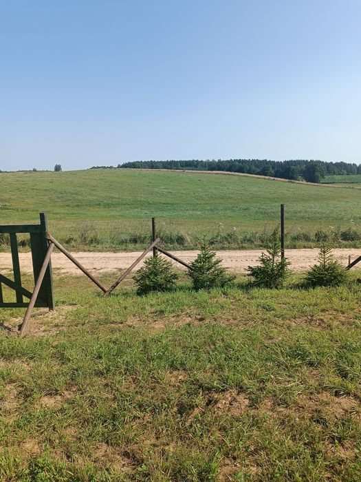 Gotowa działka rekreacyjna na Mazurach - tylko 34 tys. zł