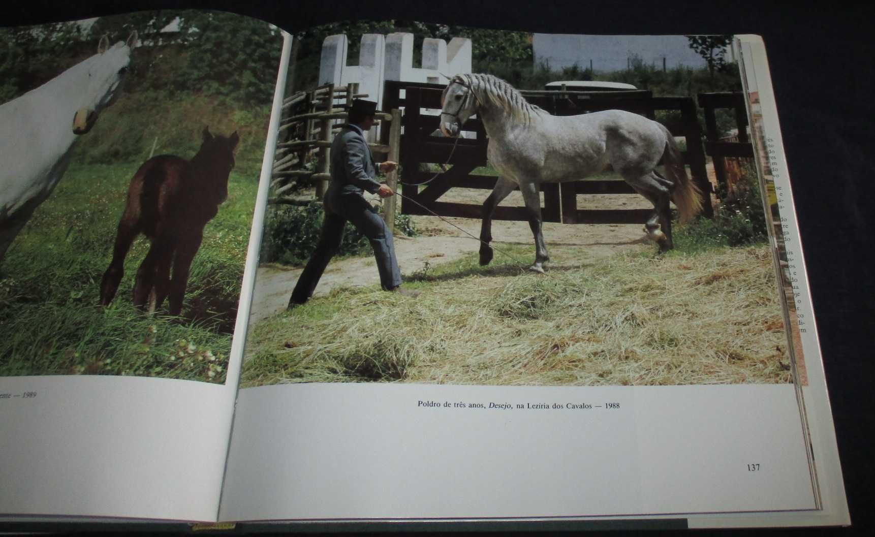 Livro Cavalo Lusitano O Filho do Vento Inapa