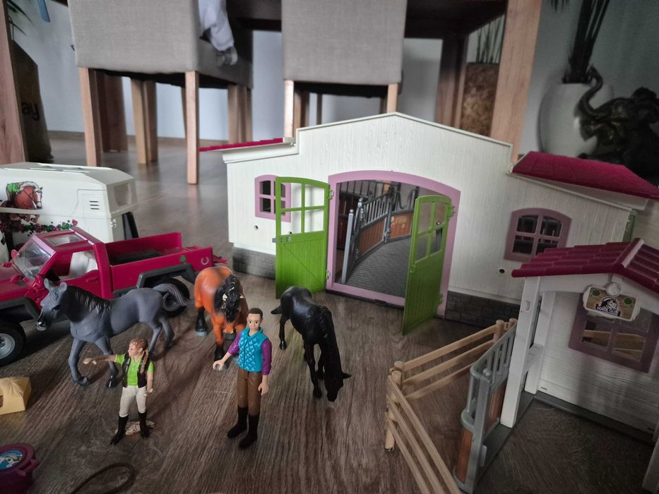 Duzy zestaw schleich dla dziewczynki