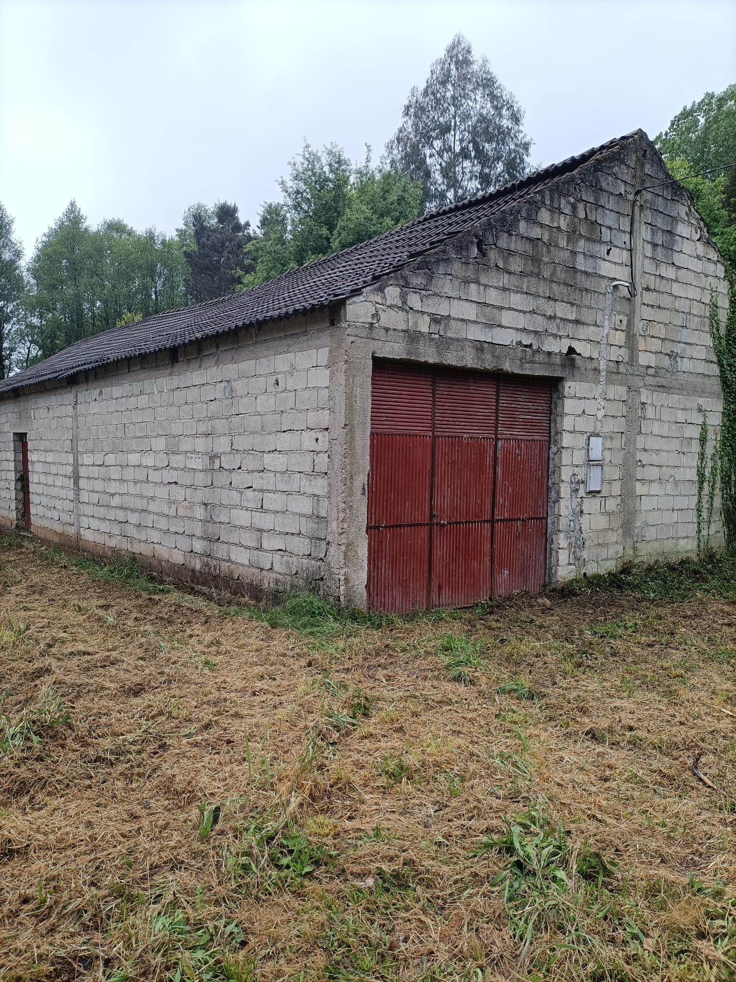 Terreno com Armazém - Queiriga