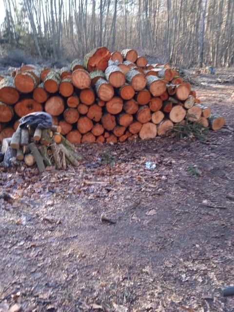 Drewno opalowe od 200 zł